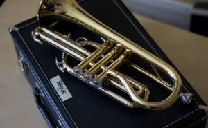 Sell Brass Cornet with case to get the most cash possible